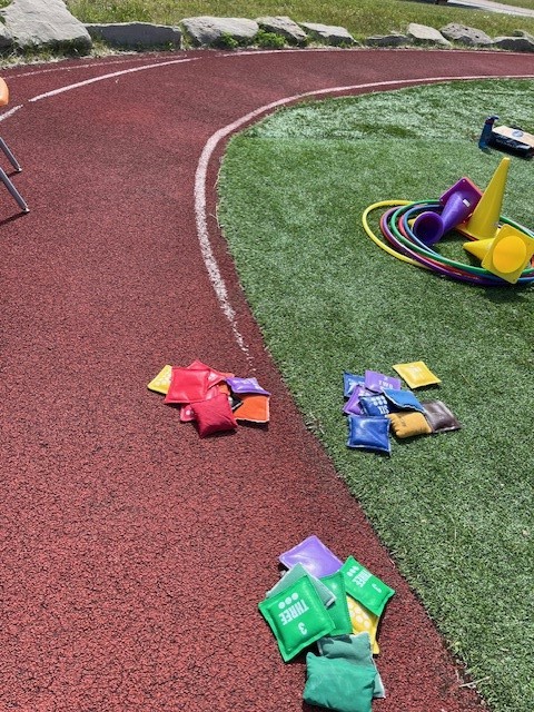 Field Day Activities