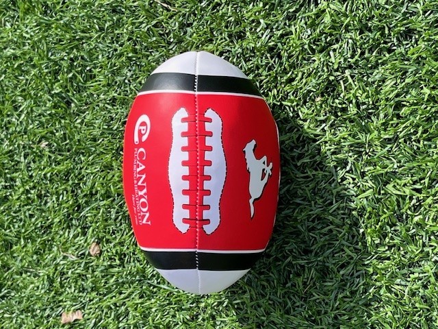 Stampeders Visit DGTS